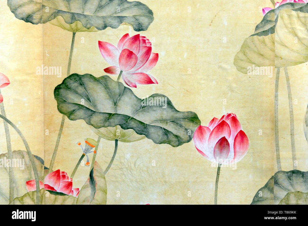 Chinese painting lotus flower Stock Photo Alamy