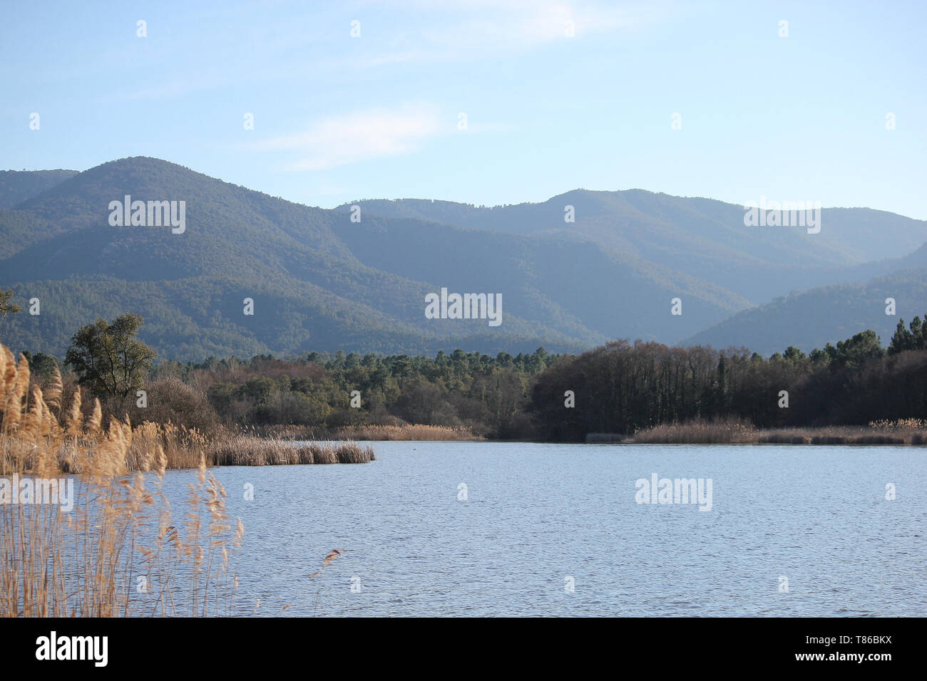 The Lac des Escarcets in the Plaine des Maures, Provence Alpes Cote d'Azur Stock Photo Alamy The Lac des Escarcets in the Plaine des Maures, Provence Alpes Cote d'Azur Stock Photo Alamy