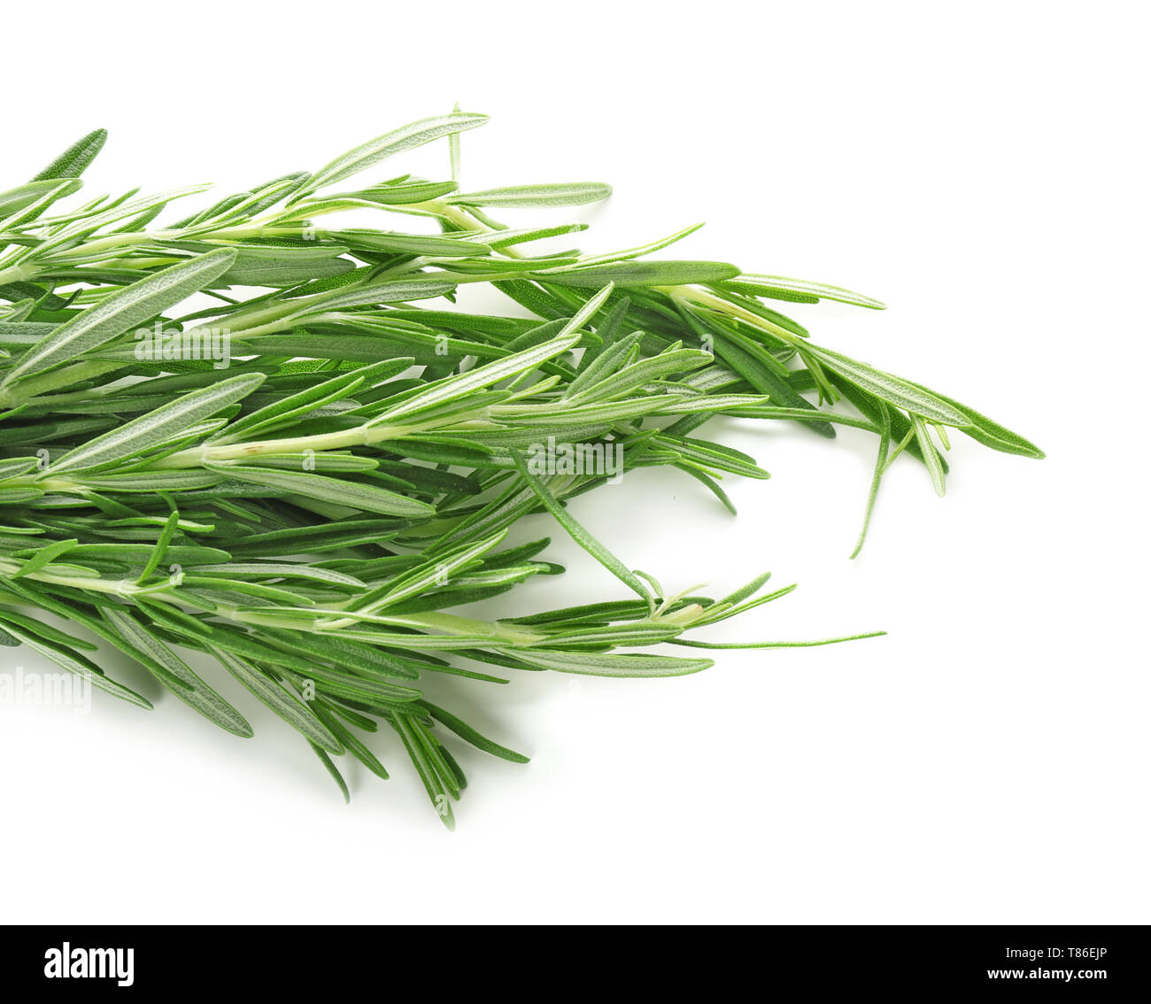 Bunch of fresh rosemary on white background, closeup Stock Photo - Alamy