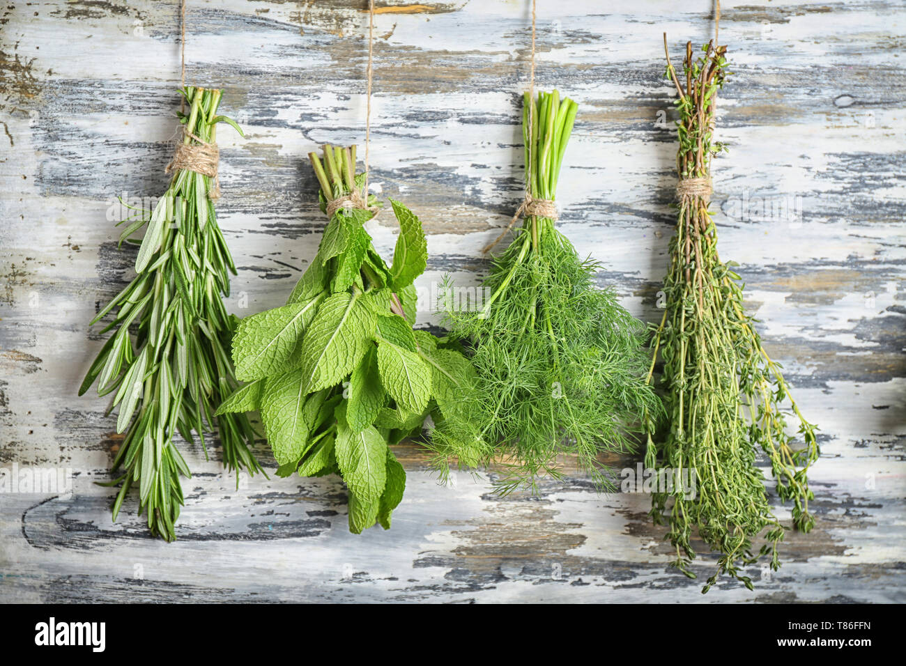 Bunches Different Aromatic Herbs Hi res Stock Photography And Images bunches-different-aromatic-herbs-hi-res-stock-photography-and-images
