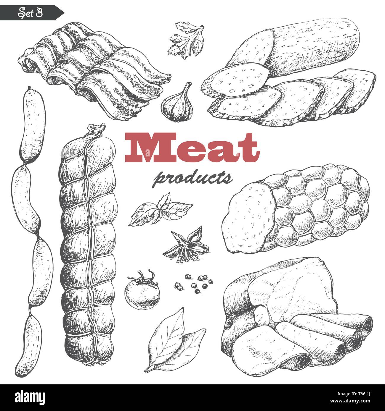 Vector set of isolated meat products. Vector illustration for your