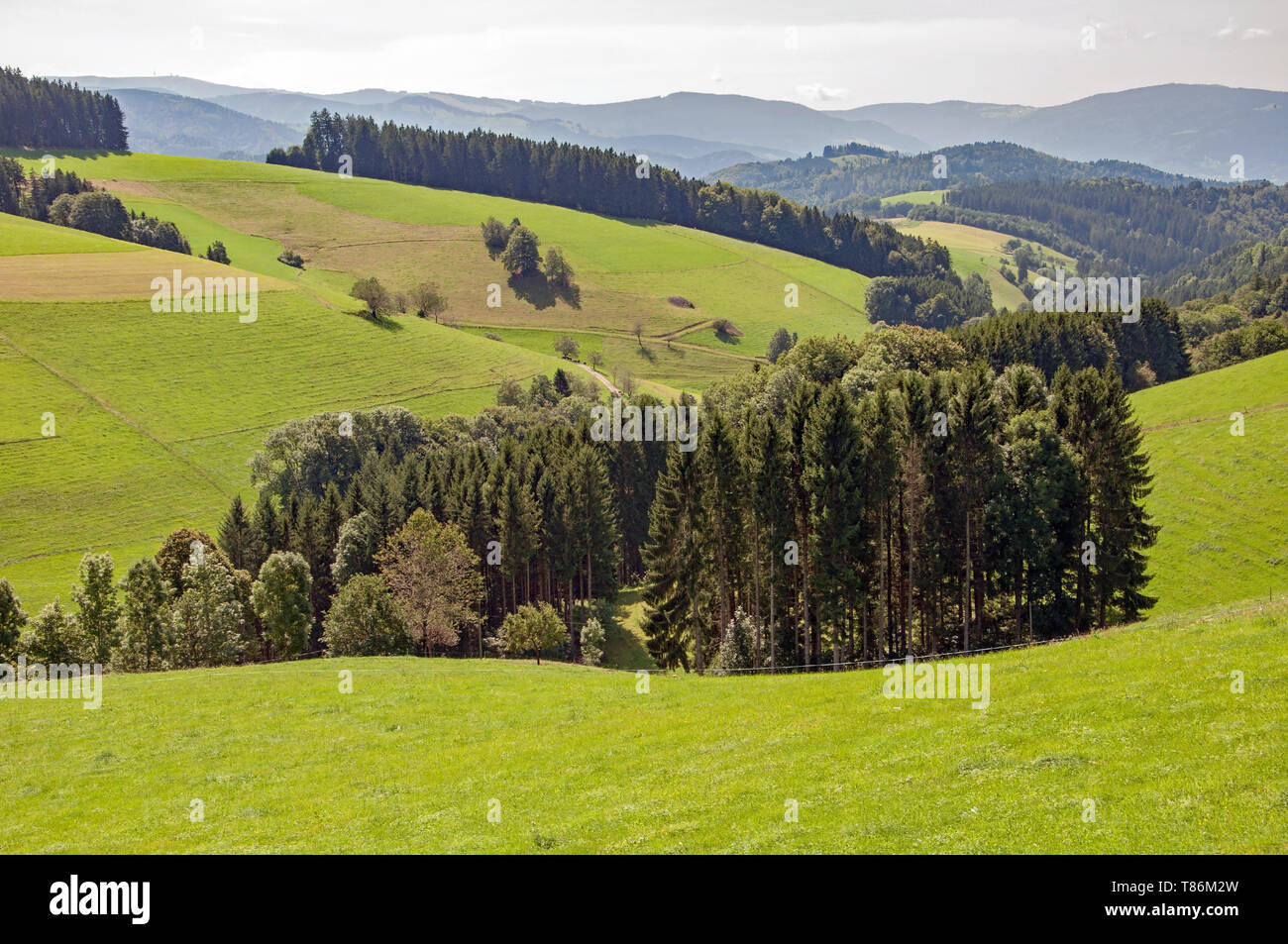 Black Forest in Bavaria, Germany. Untouched nature with mountains ...