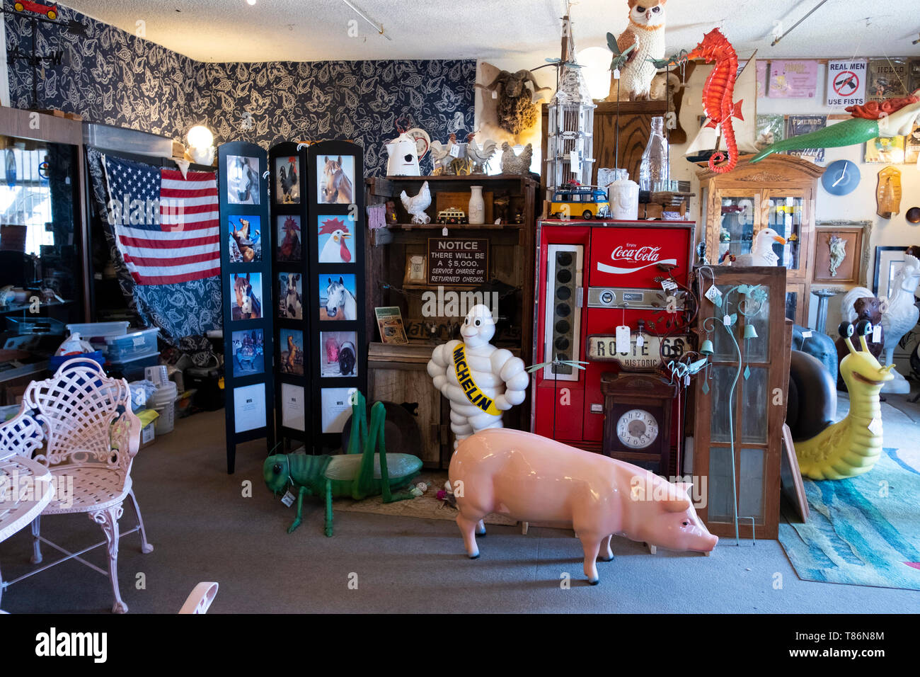 Antique shop, Victorville, California, United States of America Stock