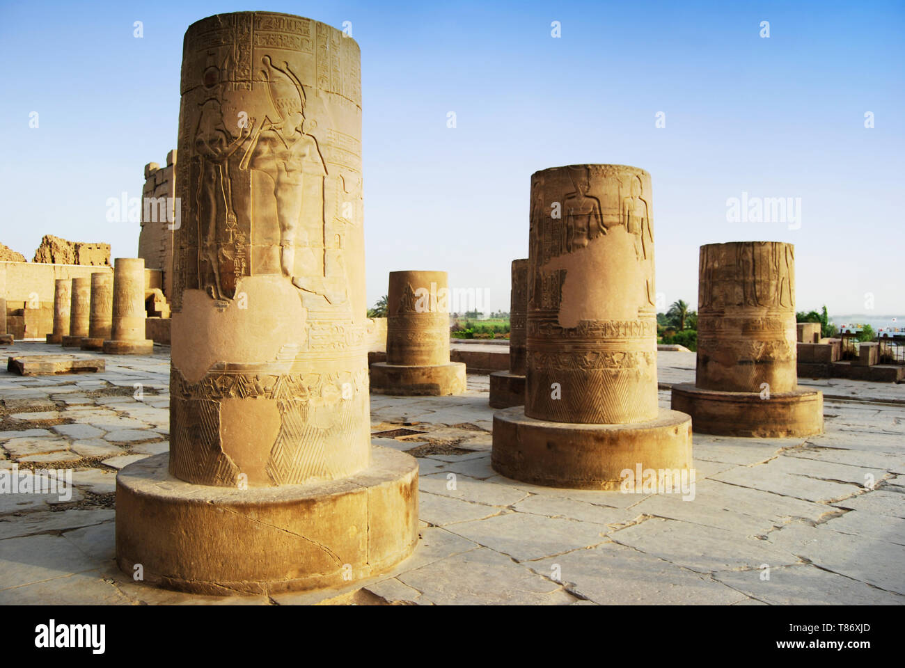 Ancient pillars of Kom Ombo Temple, Egypt Stock Photo Alamy