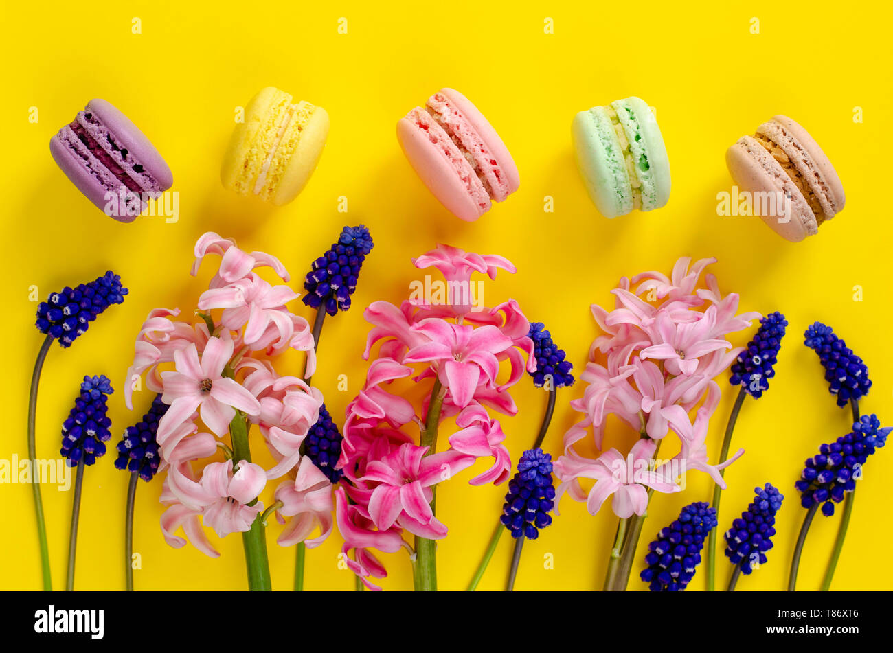 Blue muscari flowers, pink hyacinth and macarons or macaroons on yellow background. Overhead shot. Flat lay. Celebration concept. Stock Photo