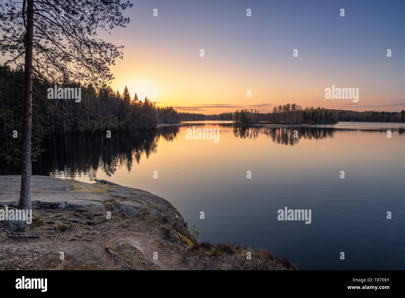 Scenic landscape with sunset, peaceful lake and tree roots at calm spring evening in Finland Stock Photo