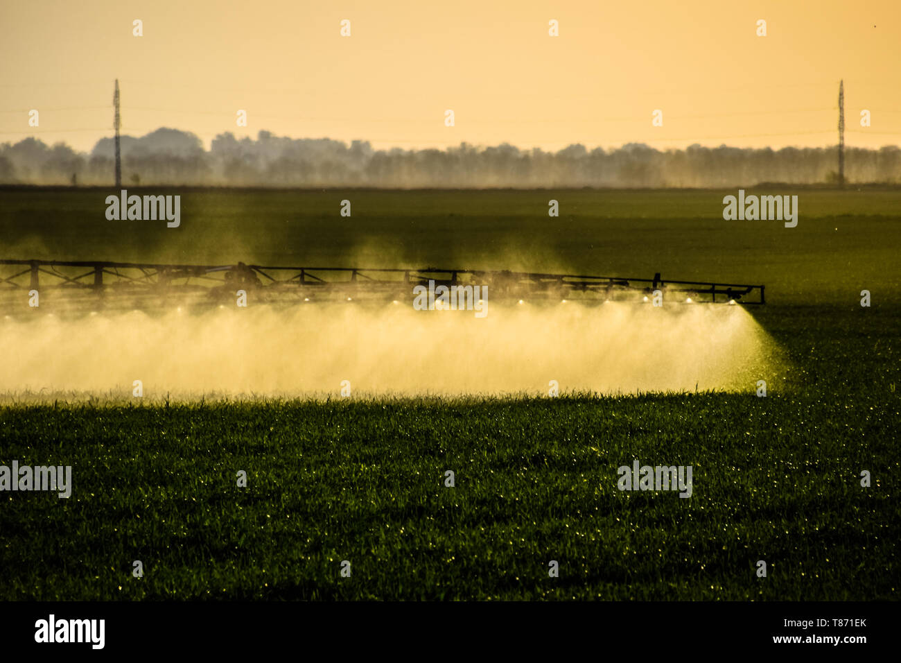 Jets of liquid fertilizer from the tractor sprayer. Tractor with the