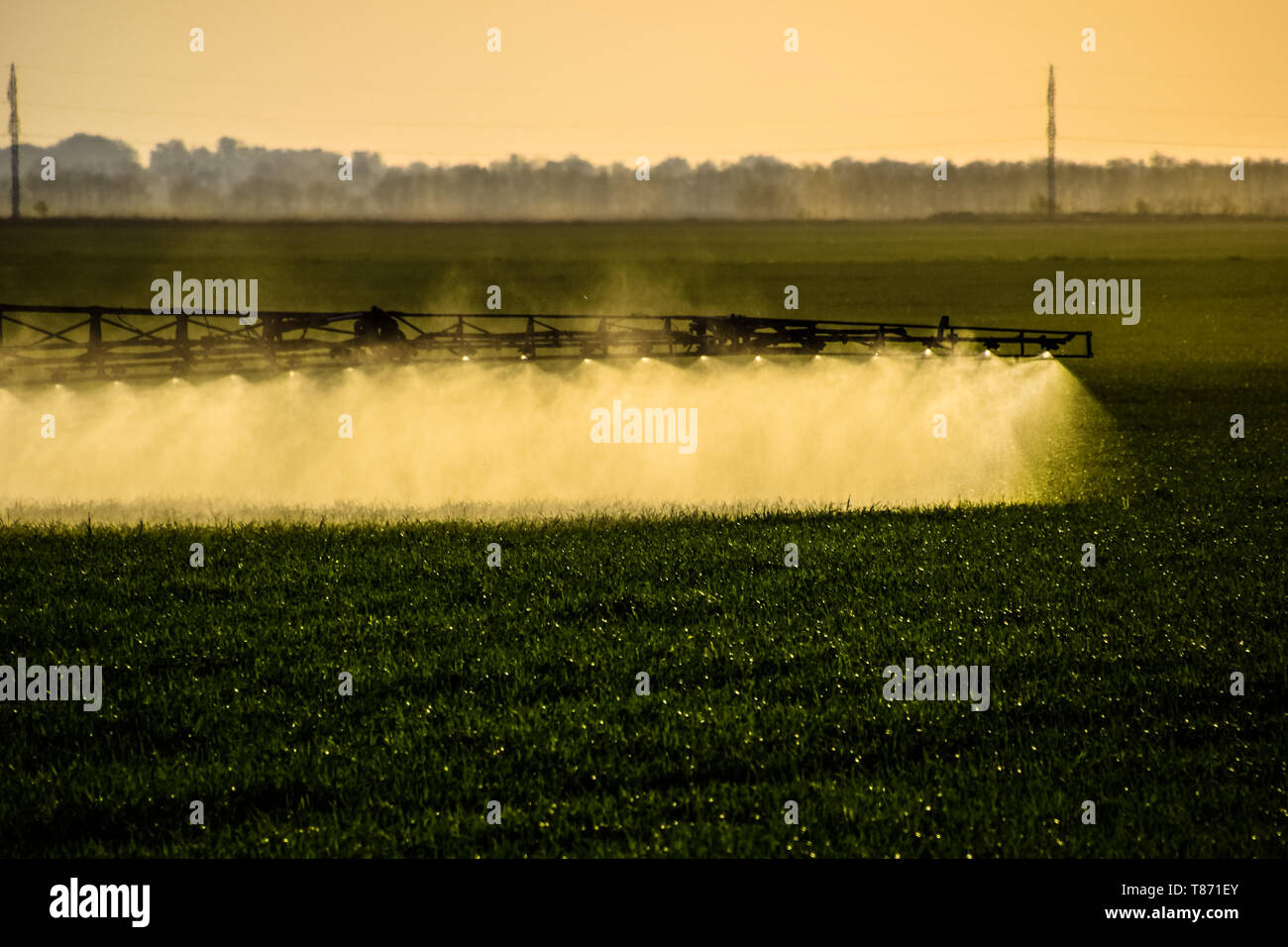 Jets of liquid fertilizer from the tractor sprayer. Tractor with the help of a sprayer sprays
