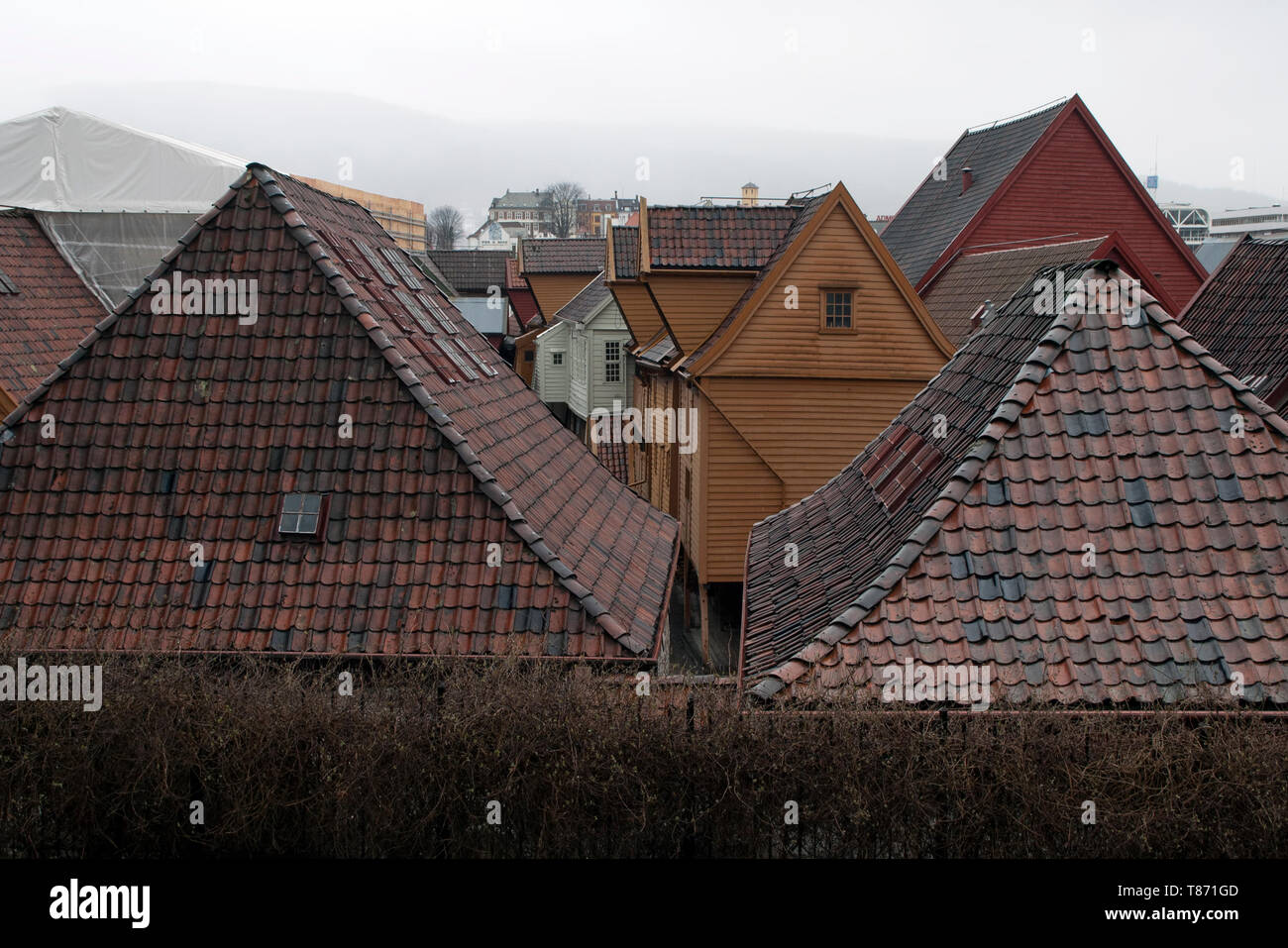 Bergen Norway,View over the traditional rooftops Stock Photo - Alamy
