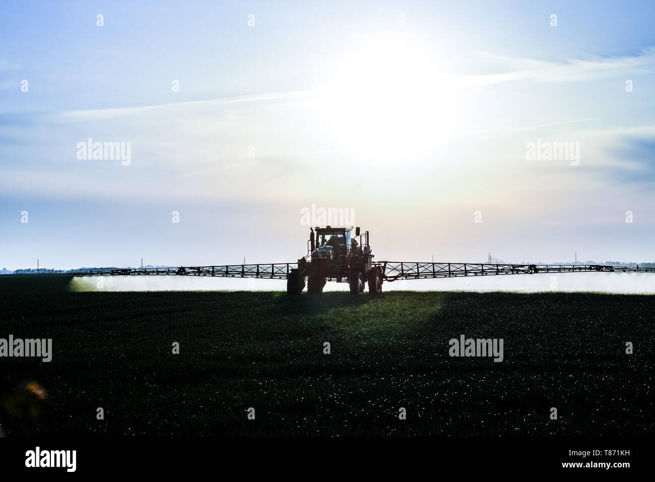 Tractor with the help of a sprayer sprays liquid fertilizers on young wheat in the field. The use of finely dispersed spray chemicals. Tractor on the  Stock Photo