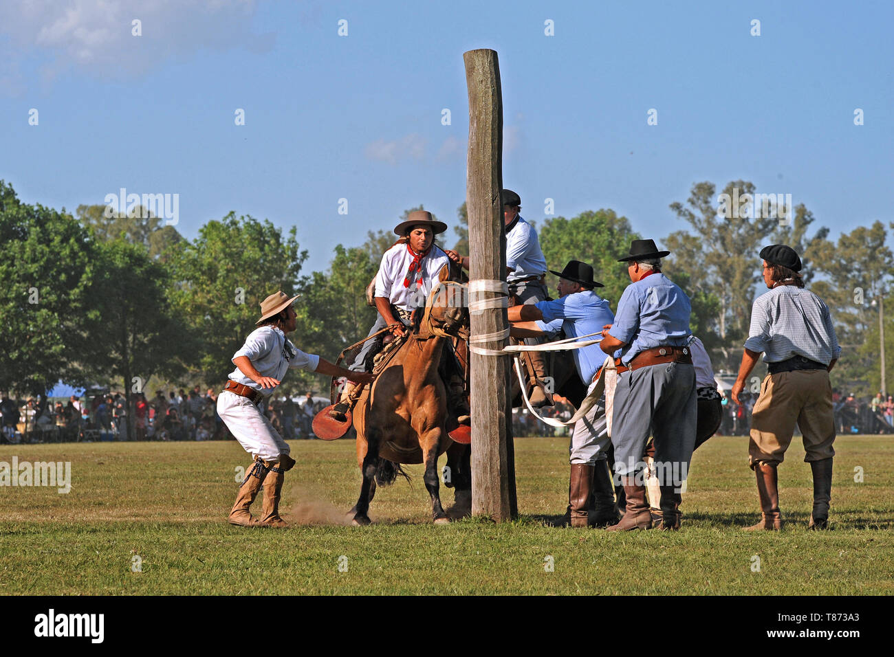 San Antonio de Areco/ Argentina: Goucho riding a wild horse at the very popular traditional Fiesta de la Tradicion Stock Photo
