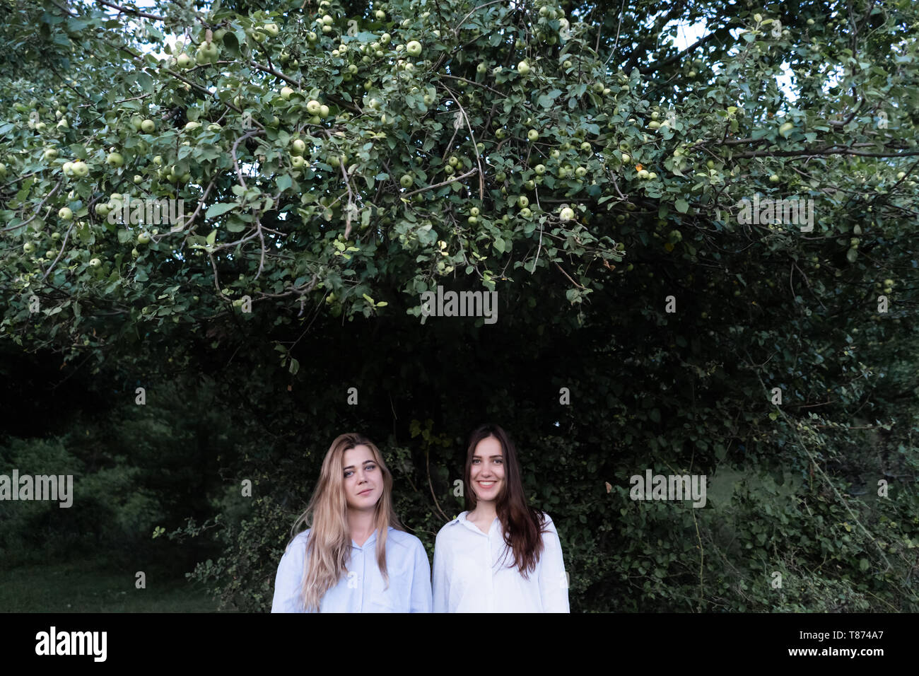 Portrait of two young girls best friends under green apple tree in summer park, friendliness concept. Stock Photo