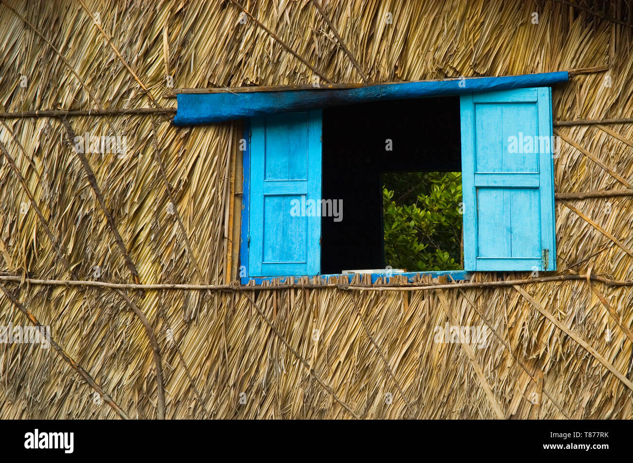 Blue Shutters on a PalmThached House