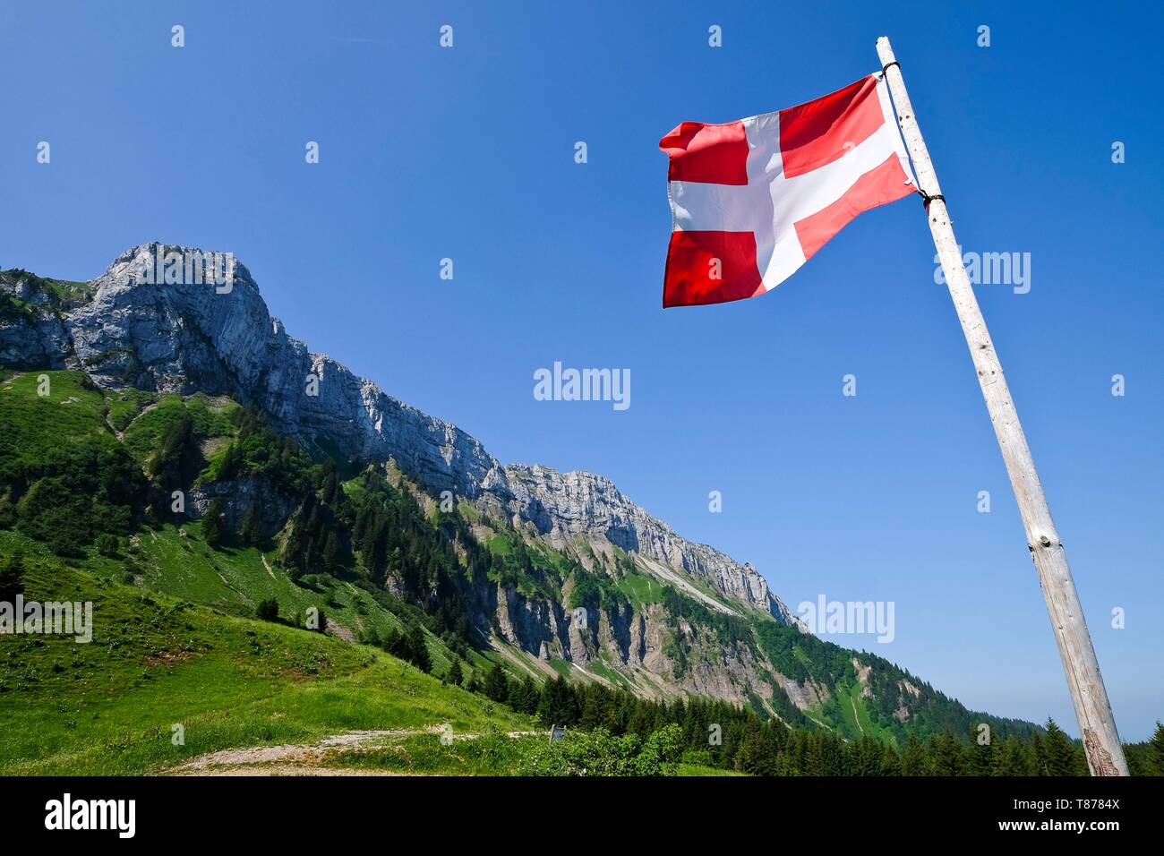 France, Haute Savoie, Thorens-Glières, Savoy flag close to the Balme chalet  Stock Photo - Alamy
