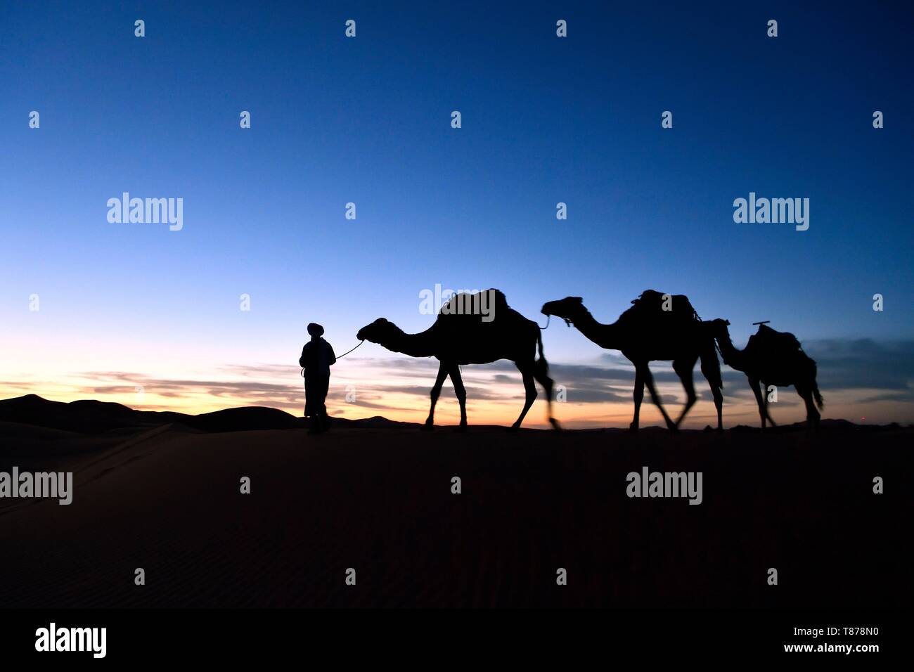 Morocco, Tafilalet region, Merzouga, erg Chebbi dunes Stock Photo