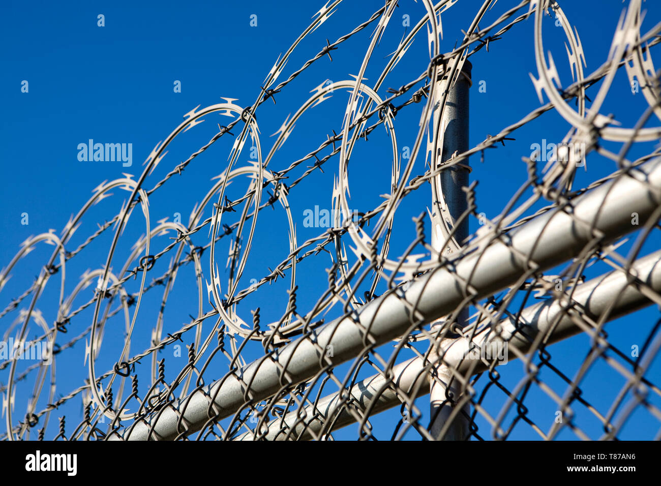 Barbed Wire and Chain Link Fence Stock Photo