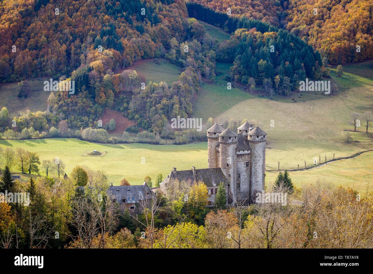 France, Cantal, regional natural park of the volcanoes of Auvergne ...