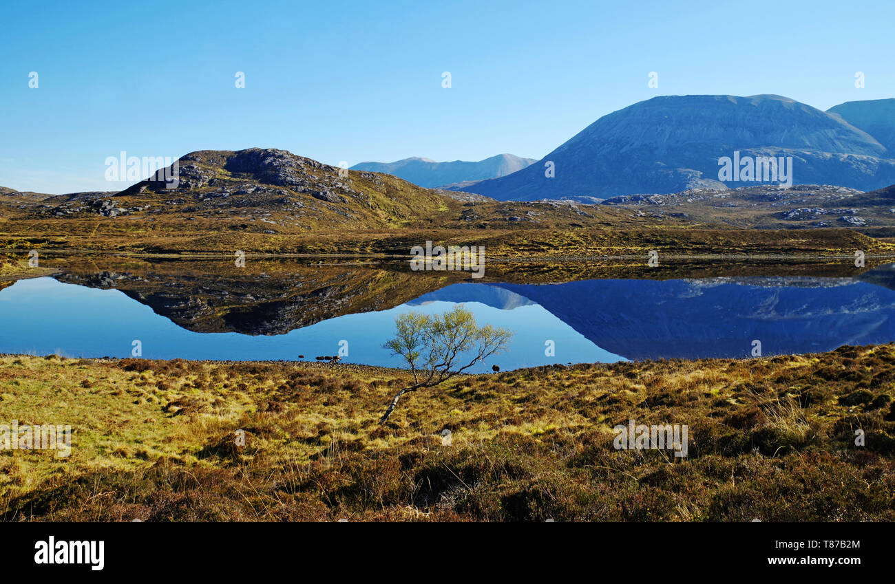 The mountain Arkle reflected in Loch Stack on a calm clear Spring morning, Sutherland, Scottish Highlands, Scotland UK Stock Photo