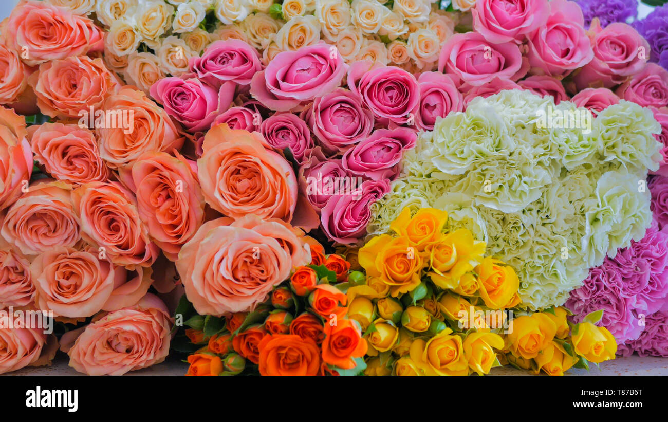 Colorful flowers background Stock Photo - Alamy