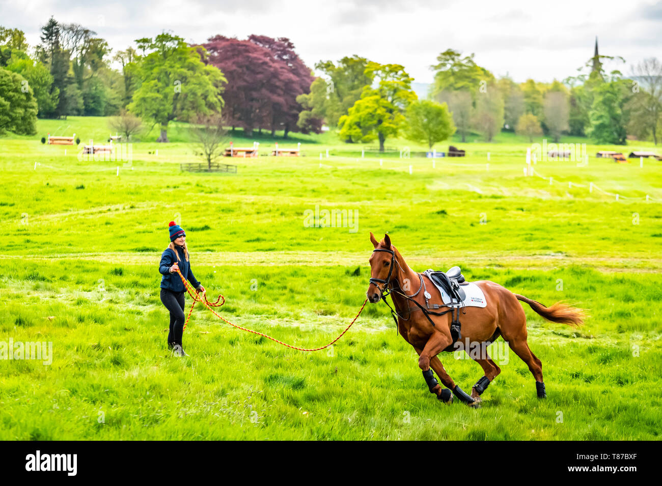 Horse Lunging Uk High Resolution Stock Photography And Images Alamy