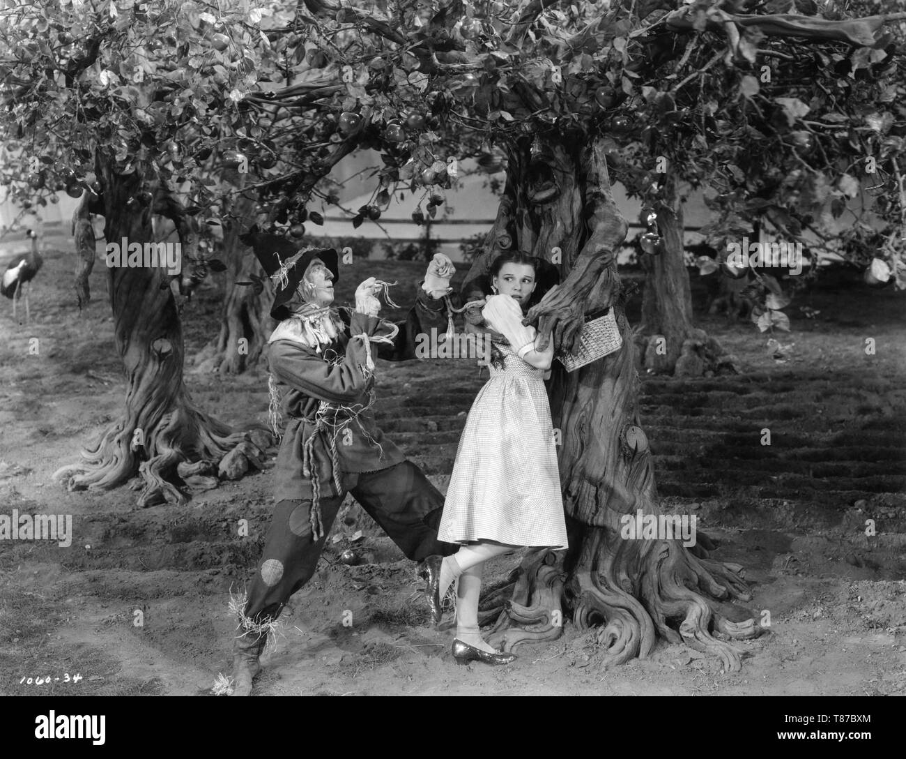 RAY BOLGER as Scarecrow JUDY GARLAND as Dorothy Gale THE WIZARD OF OZ 1939 director Victor Fleming book Frank L. Baum Metro Goldwyn Mayer Stock Photo