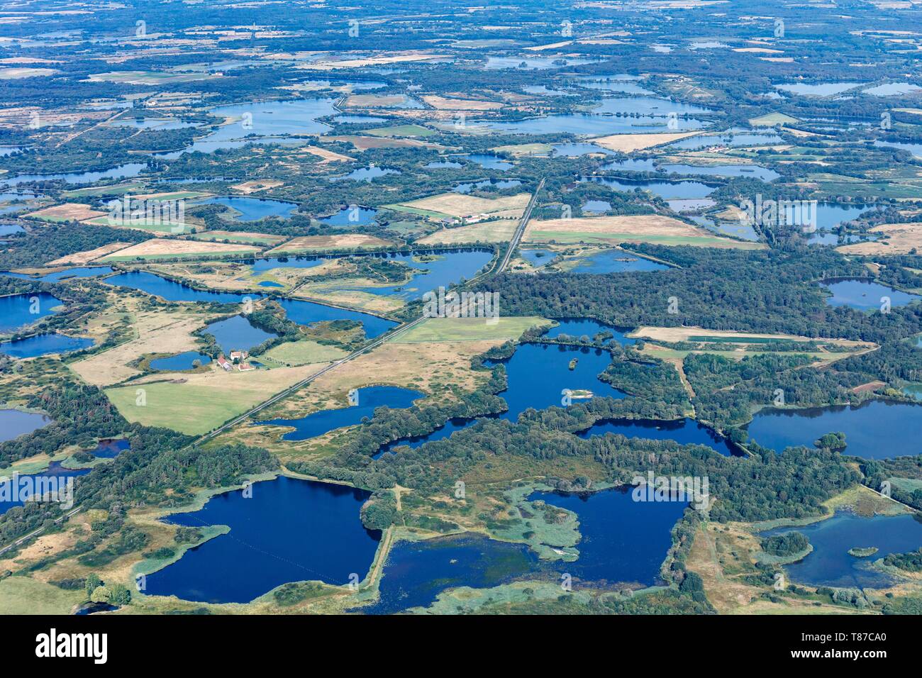 France, Indre, Mezieres en Brenne, regional nature reserve La Brenne ponds (aerial view) Stock Photo