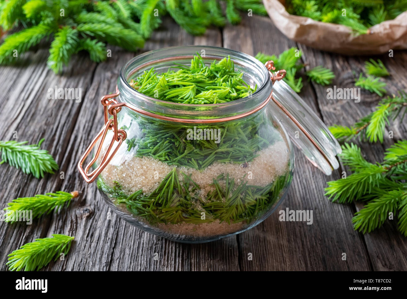 Preparation of herbal syrup against cough from young spruce tips and cane sugar Stock Photo