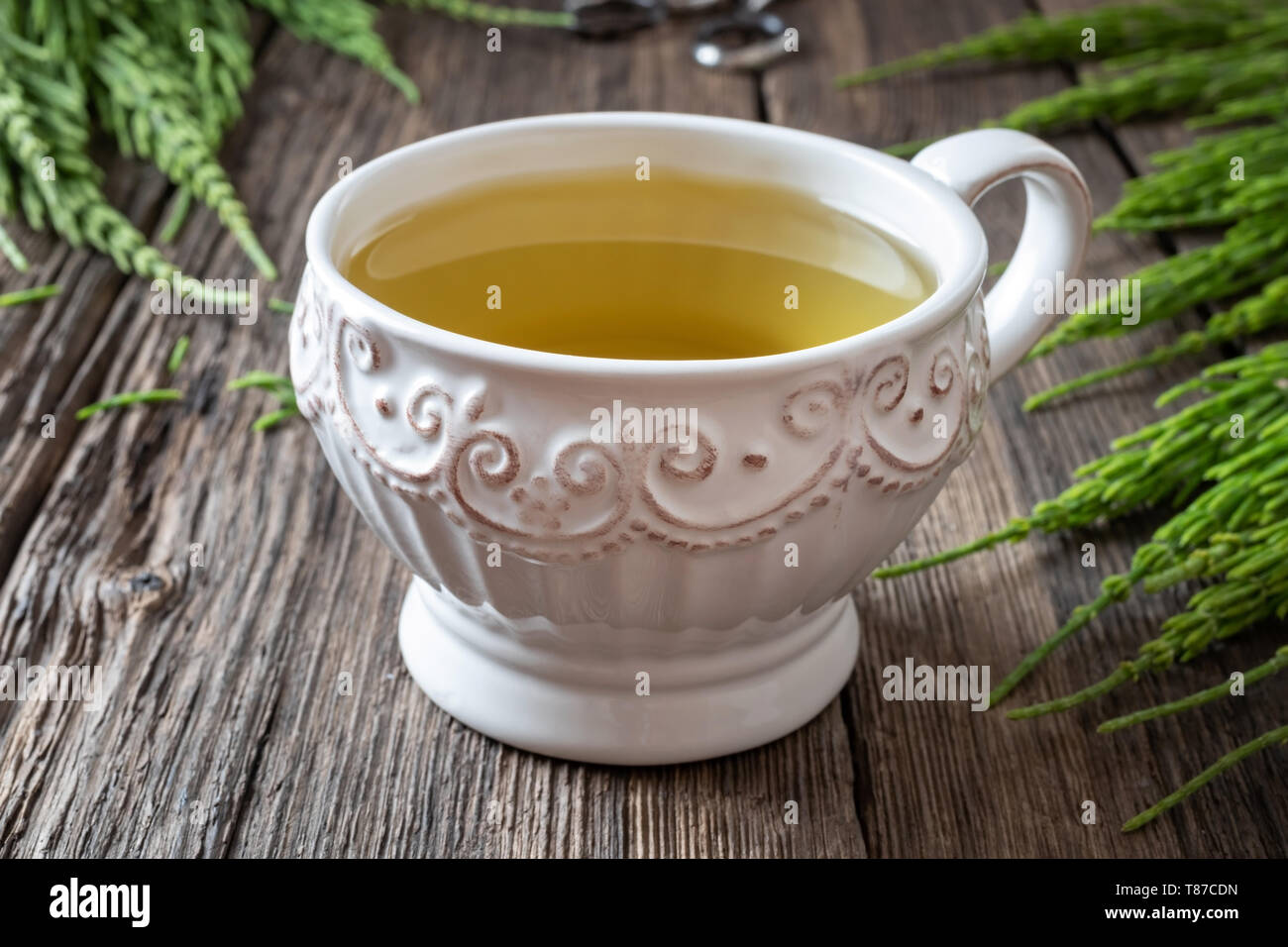 A cup of horsetail tea with fresh Equisetum arvense plant on a wooden table Stock Photo