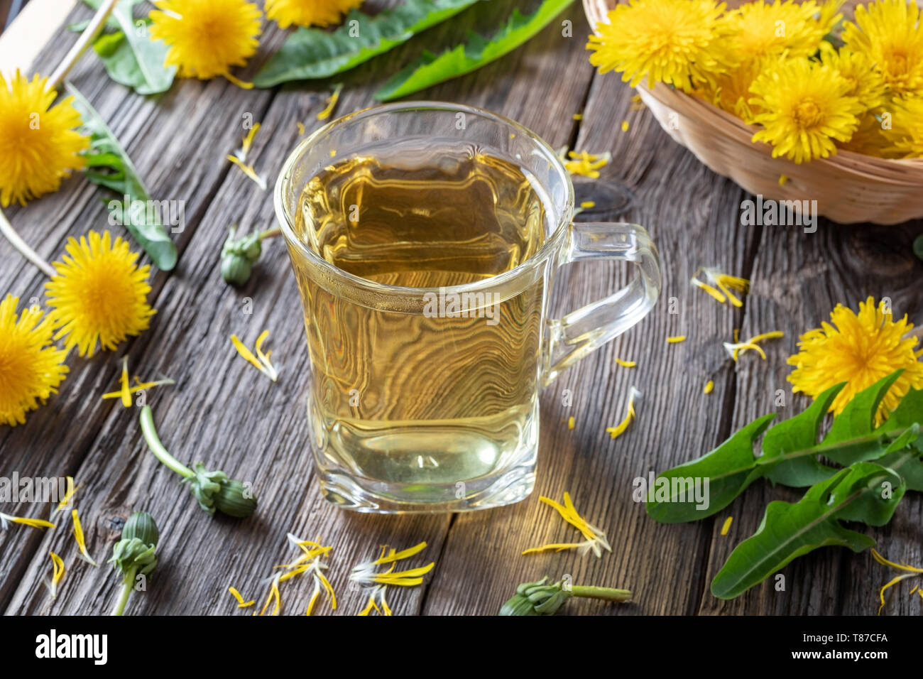 A cup of herbal tea with fresh dandelion flowers and leaves Stock Photo ...