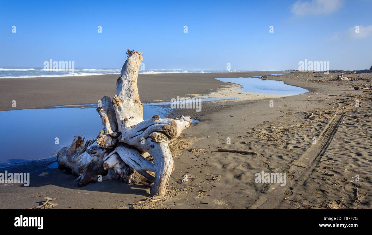 Walking along a Lost Coast beach in Northern California Stock Photo