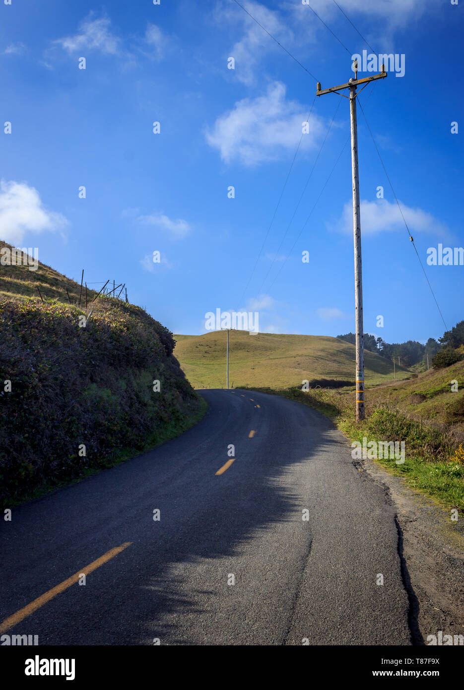 A country road winds out of sight along the Lost Coast near Ferndale, California, USA Stock Photo