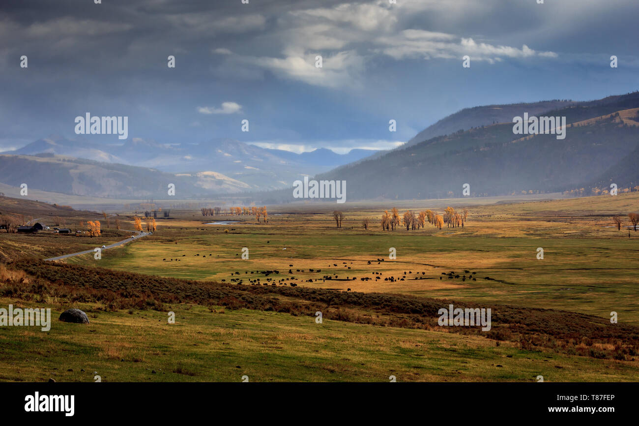 Storms moving through the Lamar Valley in Yellowstone National Park Stock Photo