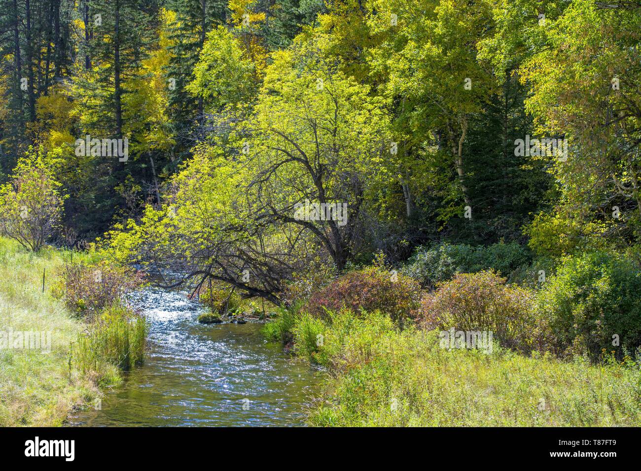 Lead south dakota hires stock photography and images Alamy