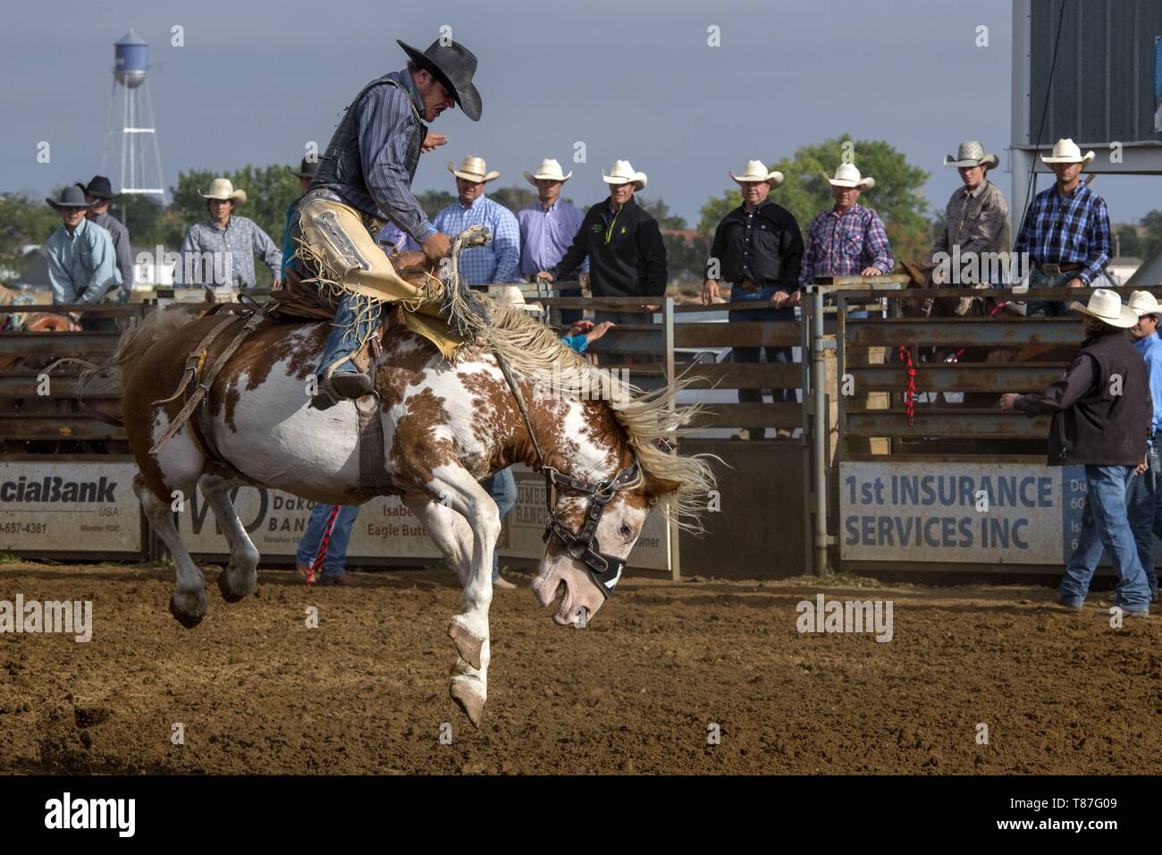 United States, South Dakota, Dupree, rodeo Stock Photo Alamy