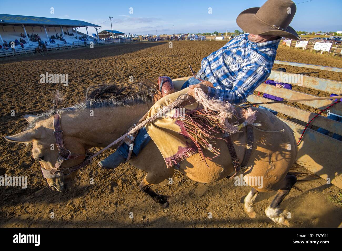 United States, South Dakota, Dupree, rodeo Stock Photo Alamy