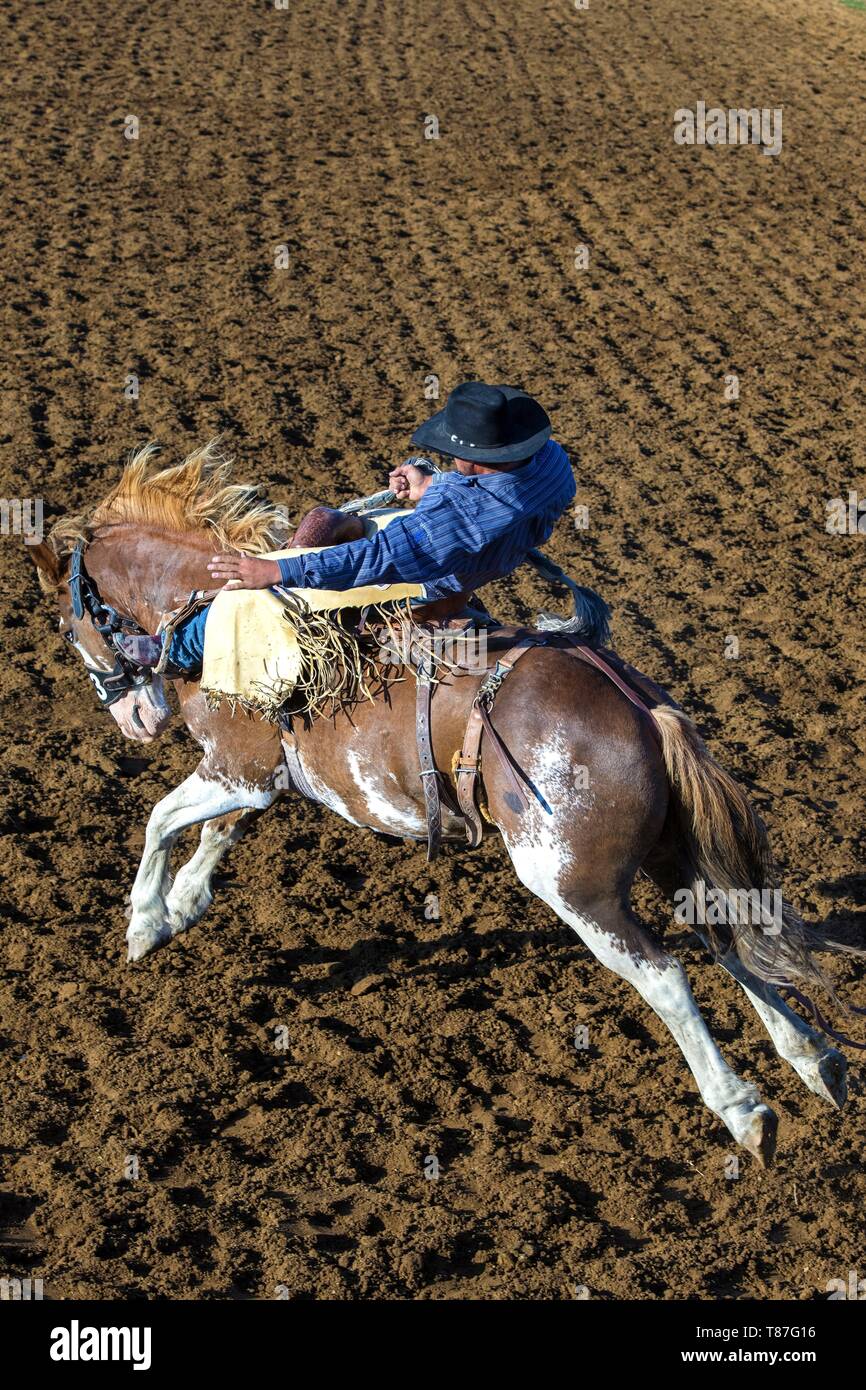 United States, South Dakota, Dupree, rodeo Stock Photo Alamy