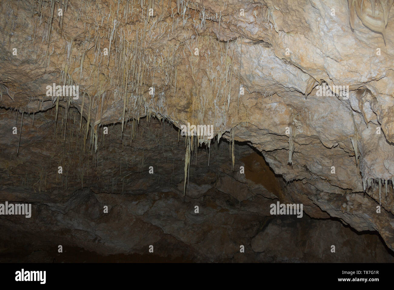 Stalactites in a cave. Perth, Western Australia, Australia. Stock Photo