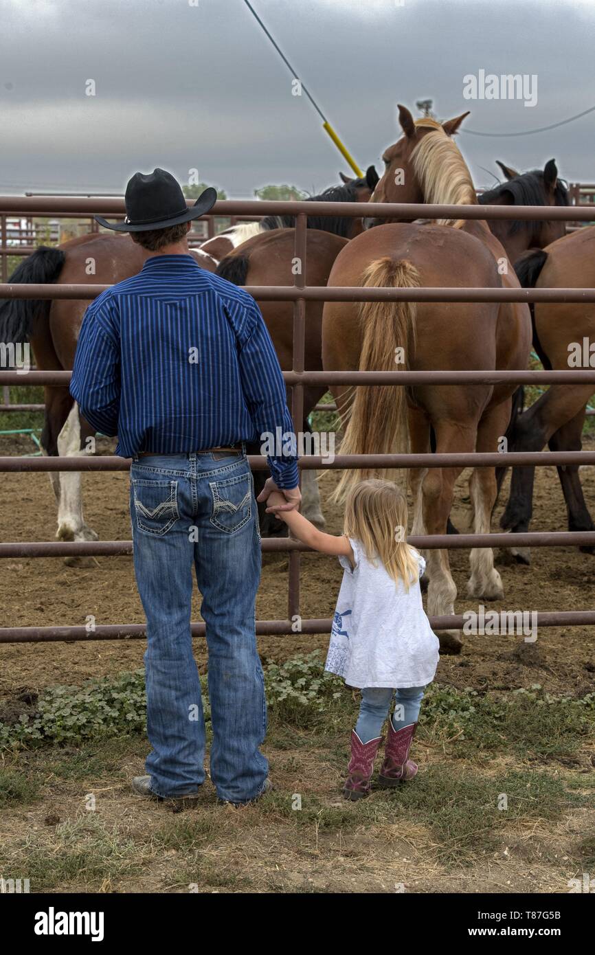 Rear Enclosure High Resolution Stock Photography and Images Alamy