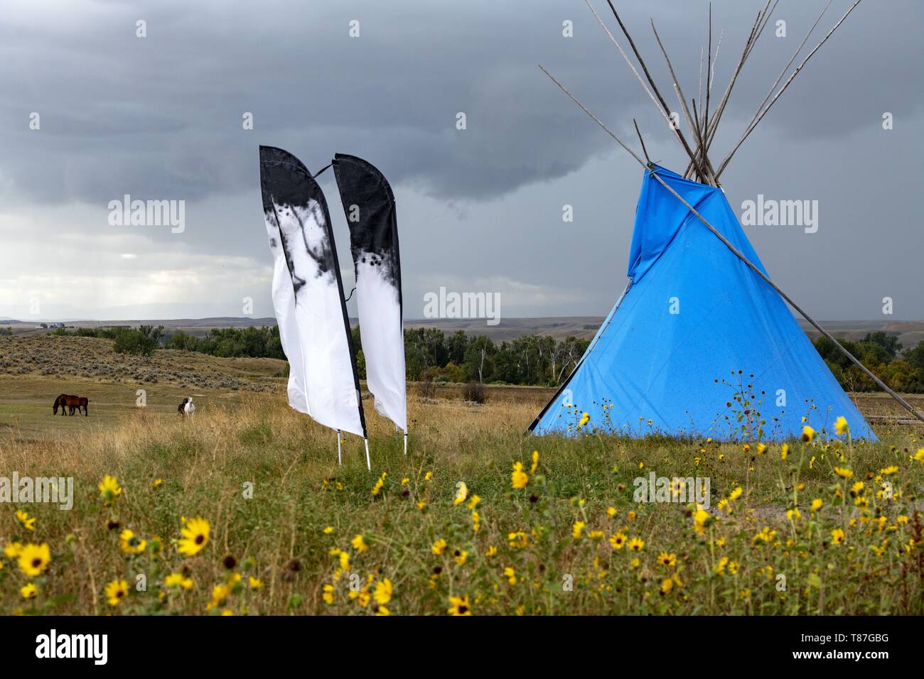 United States, Montana, battlefield of Little Big Horn where the Sioux defeated the èth cavalry regiment and killed General Custer Stock Photo