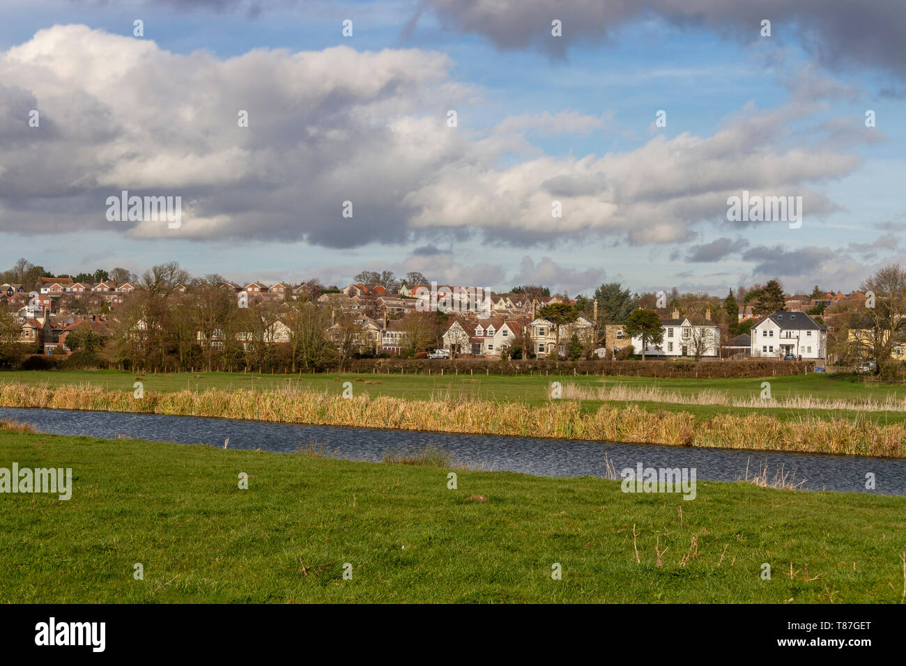 Water meadows, Sudbury, Suffolk, England Stock Photo