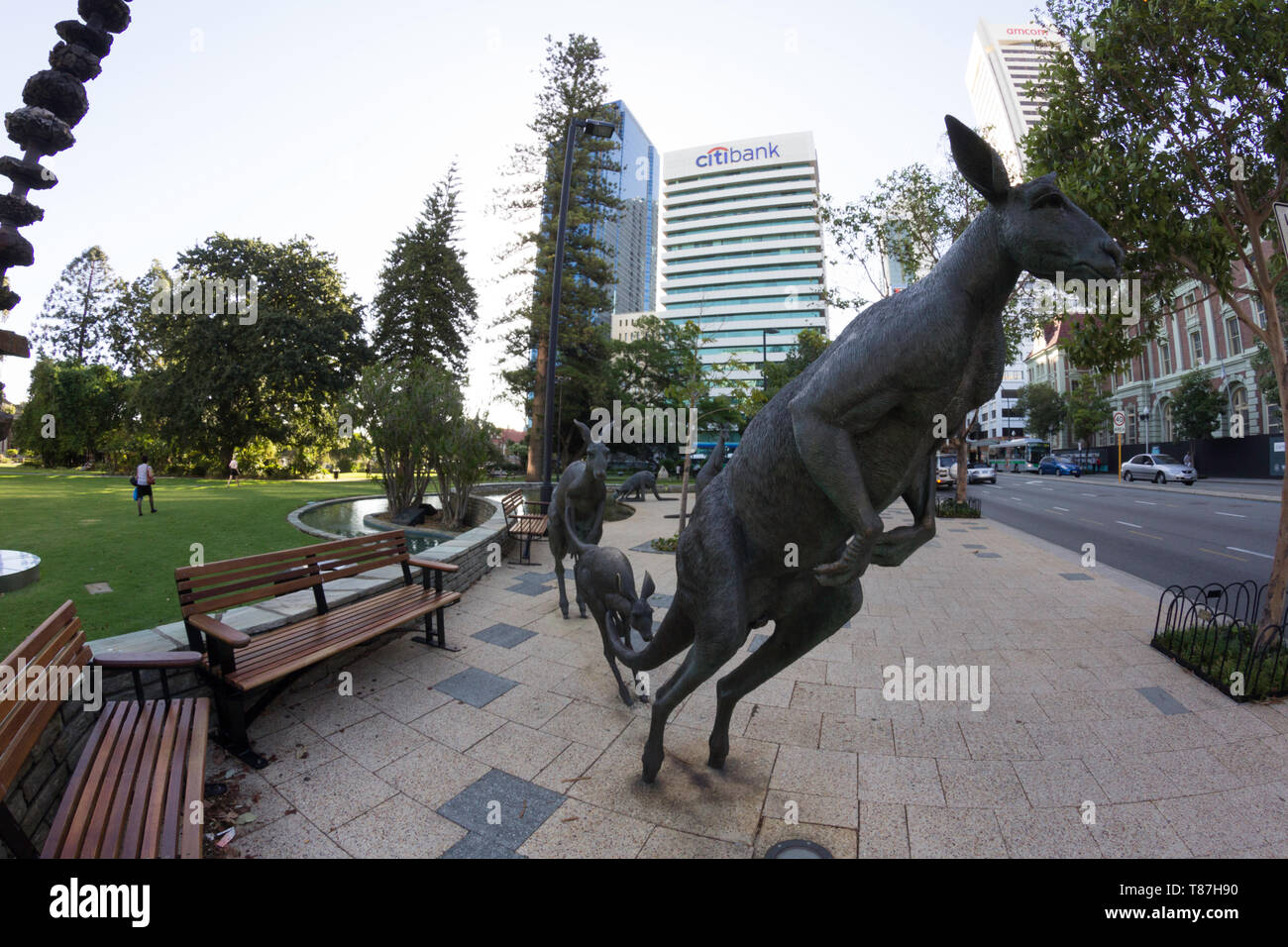 Kangaroo statues perth western australia hires stock photography and