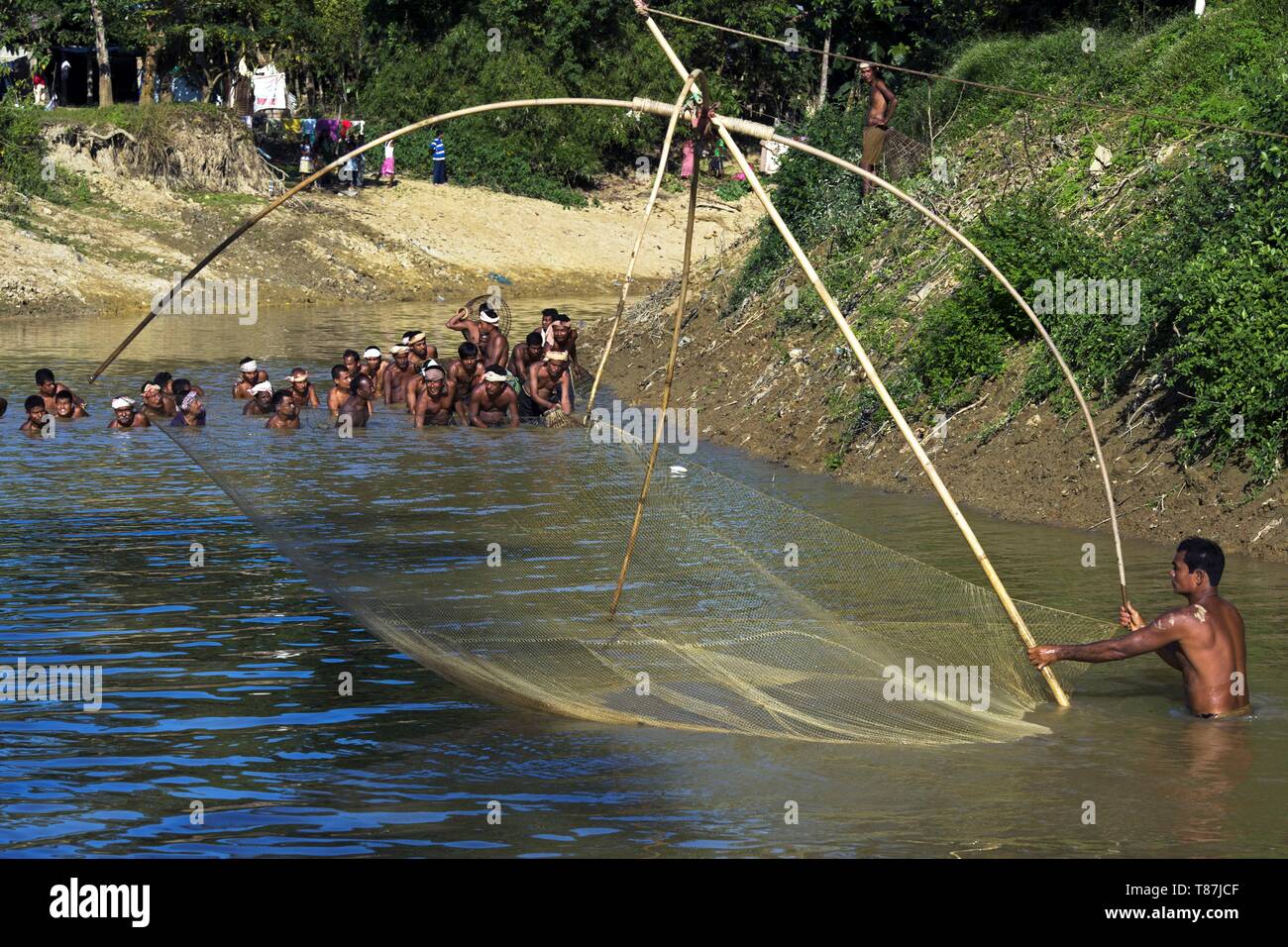 India, Assam, Sibsagar, community fishing Stock Photo Alamy