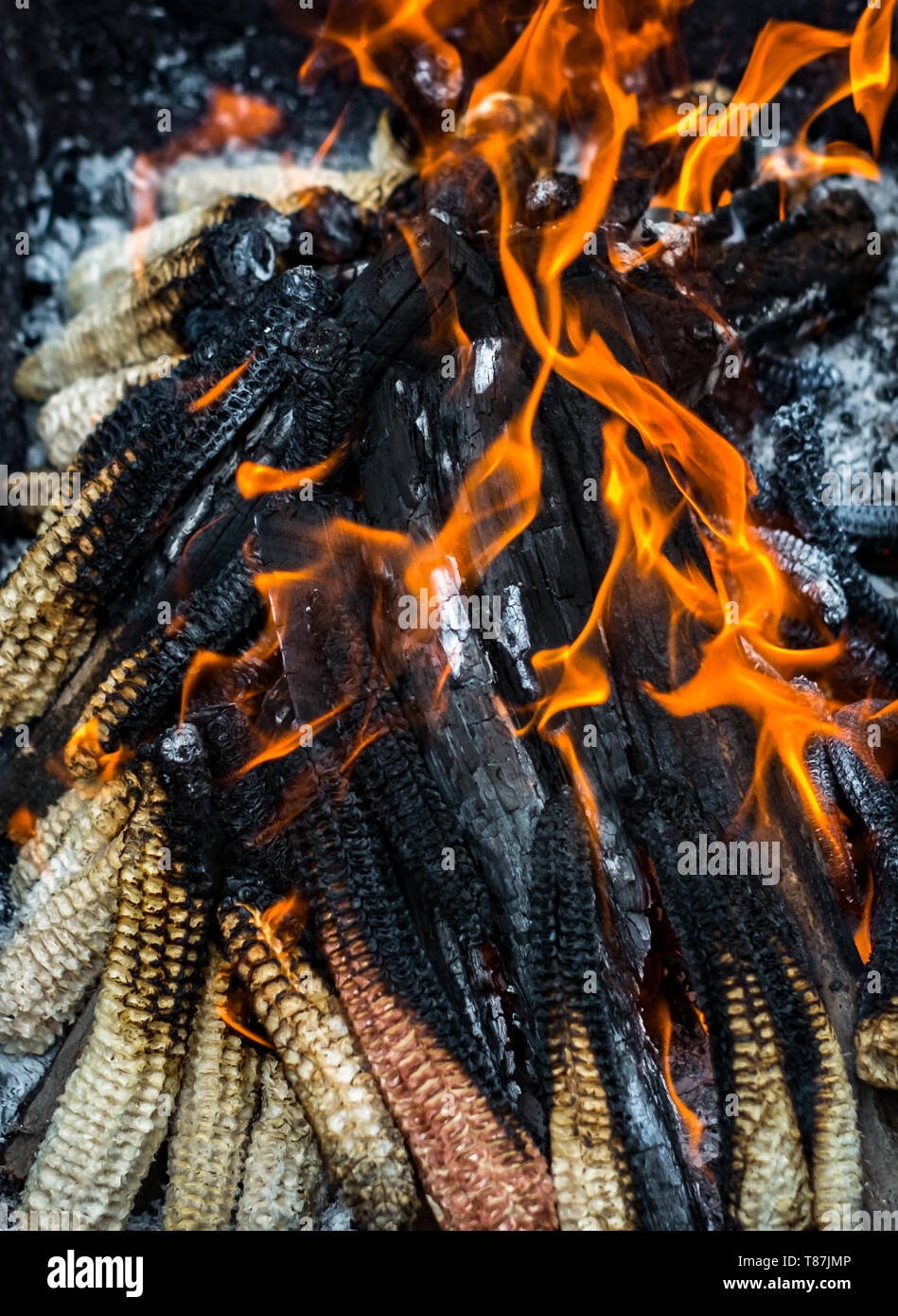 Waste corn cobs burning Stock Photo Alamy
