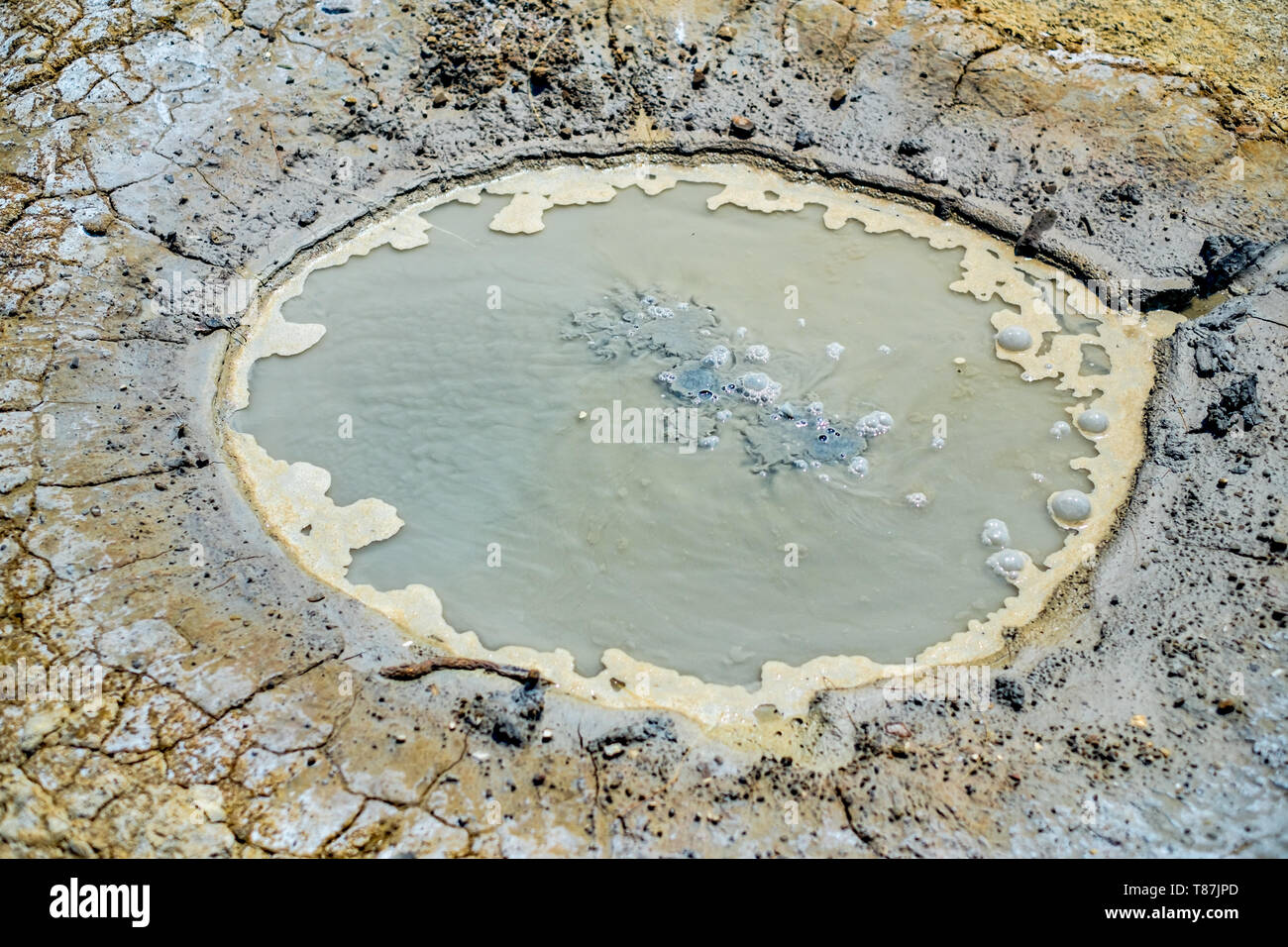 Close-up of bubbling mud in crater of mud volcano in Buzau county, Romania Stock Photo