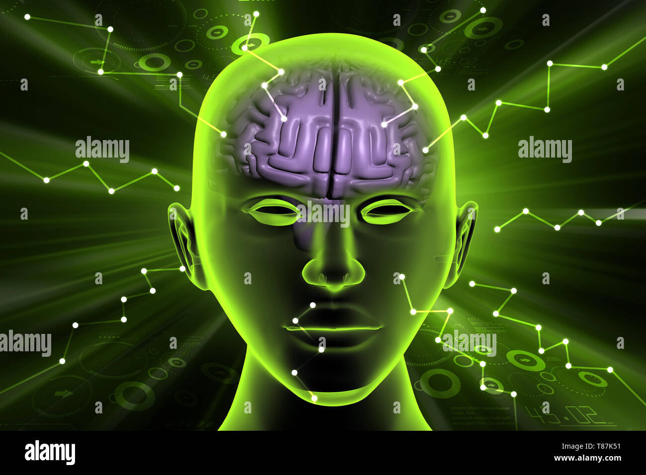 Human brain side diagram hi-res stock photography and images - Alamy