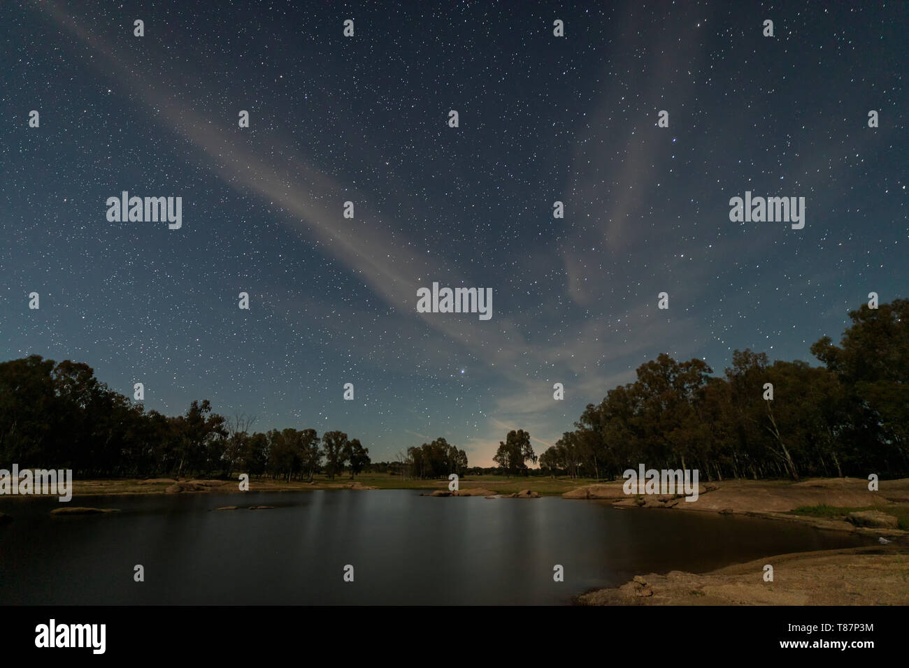 Night landscape with moonlight in the swamp of Valdesalor. Extremadura. Spain. Stock Photo