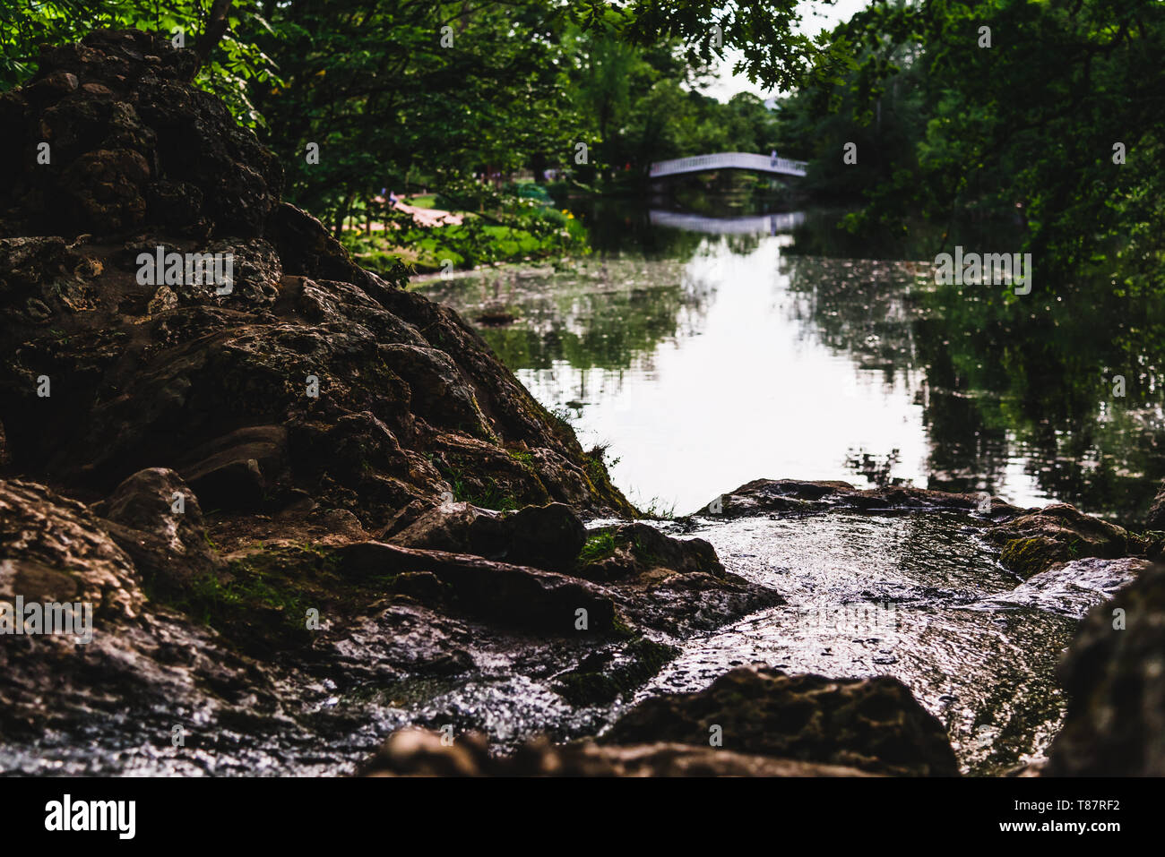 Creek near me