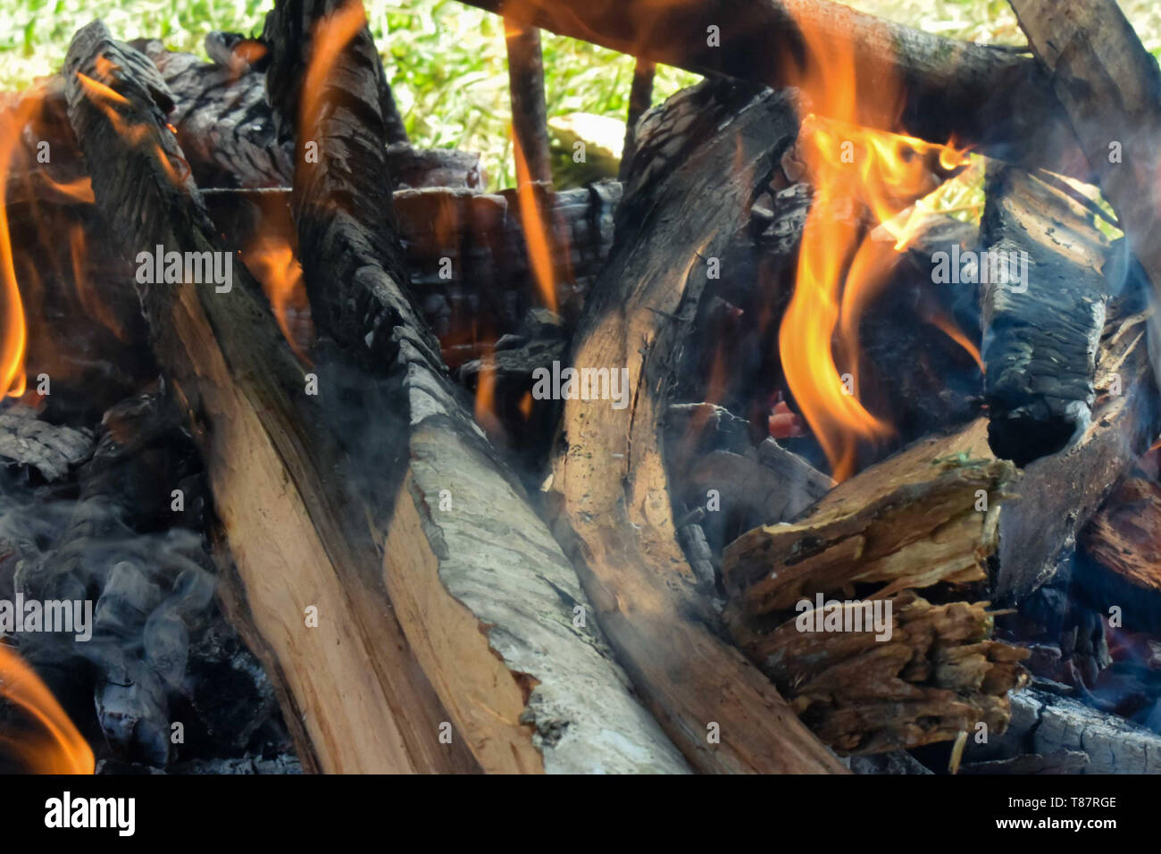 Fire woood slowly burning, smoking fire wood Stock Photo Alamy