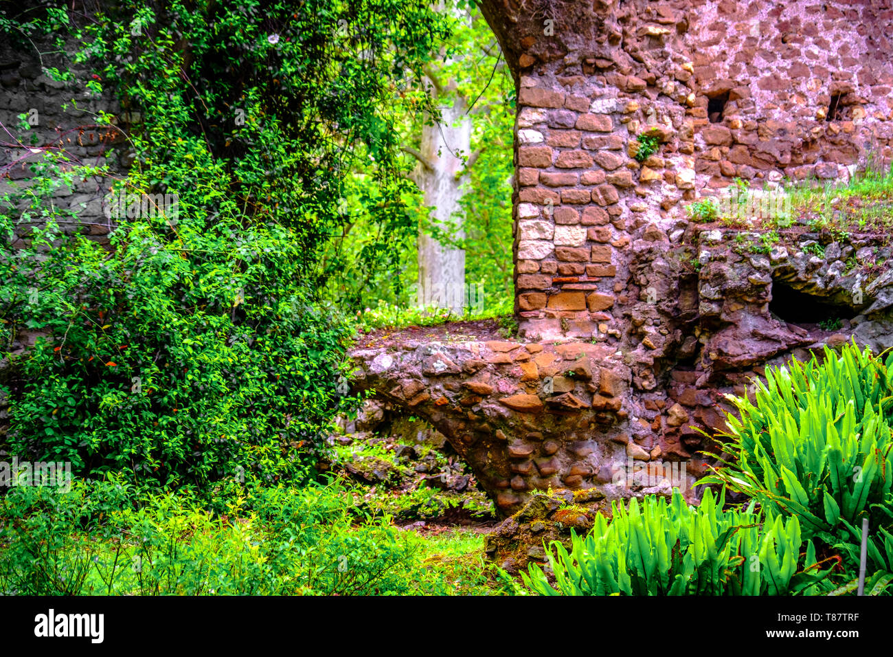 window brick ruins ivy plant background in Giardino della Ninfa gardens in Latina - Lazio - Italy Stock Photo