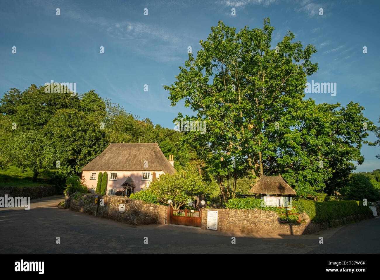 Classic thatched pink cottage and garden (Rose Cottage tea gardens) in